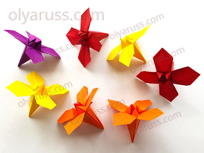 Подробнее о статье Цветок оригами Ирис с новой формой лепестков